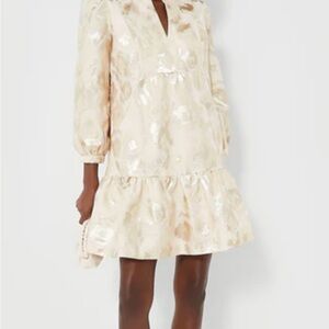 NWT Tuckernuck Champagne Fil Coupe Palmerston Dress